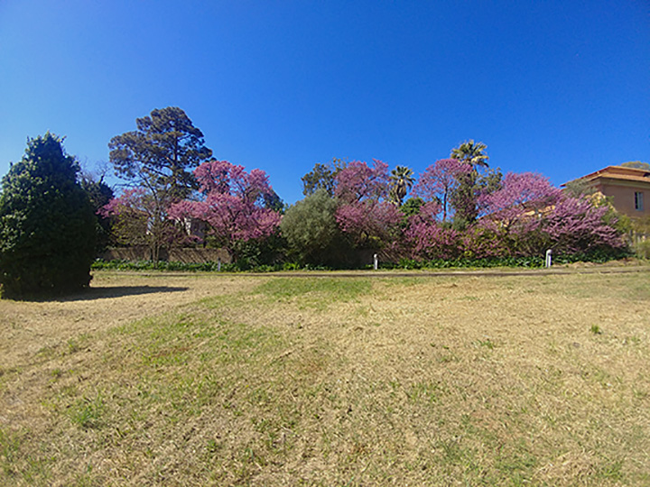 Il Parco di Villa Boldetti, Iglesias SU